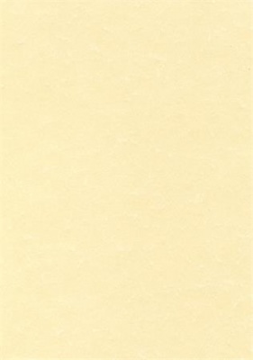 Előnyomott papír, A4, 95 g, pergamen hatású, APLI, pezsgő