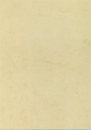 Előnyomott papír, A4, 200 g, APLI, havanna